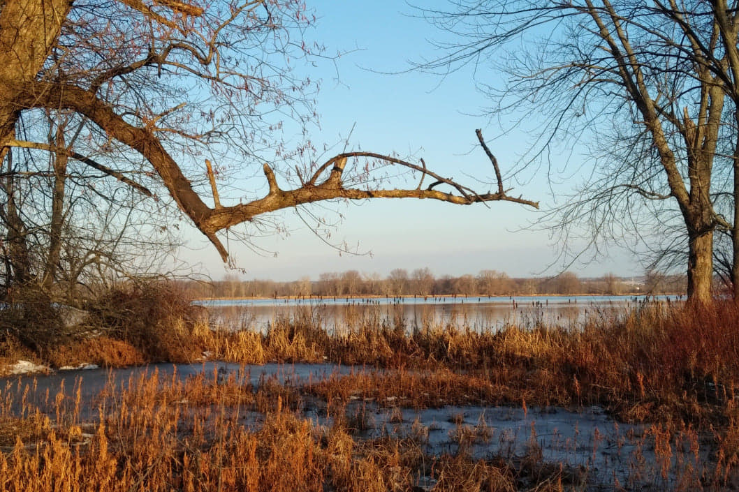 Psalm 86 – Ma olen vilets ja vaene