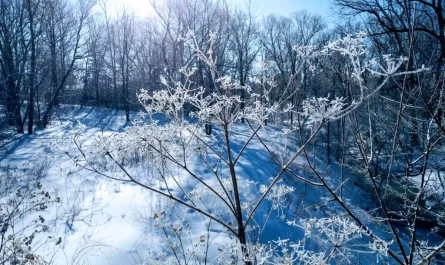 In winters frosty grip