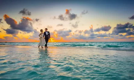 Photo by Asad Photo Maldives on Pexels.com