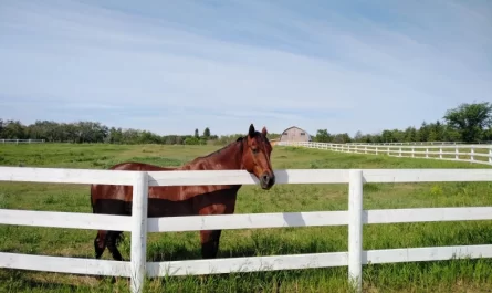 Near Saskatoon, SK –photo by David Kitz