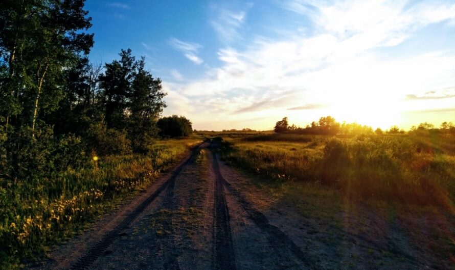 Hirmufaktori käsitlemine