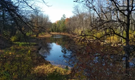greens creek